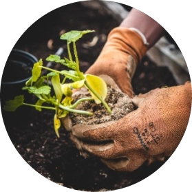 “Starting a business is like planting a seed. It requires nurturing, patience, and overcoming storms to see it grow into a thriving venture.”